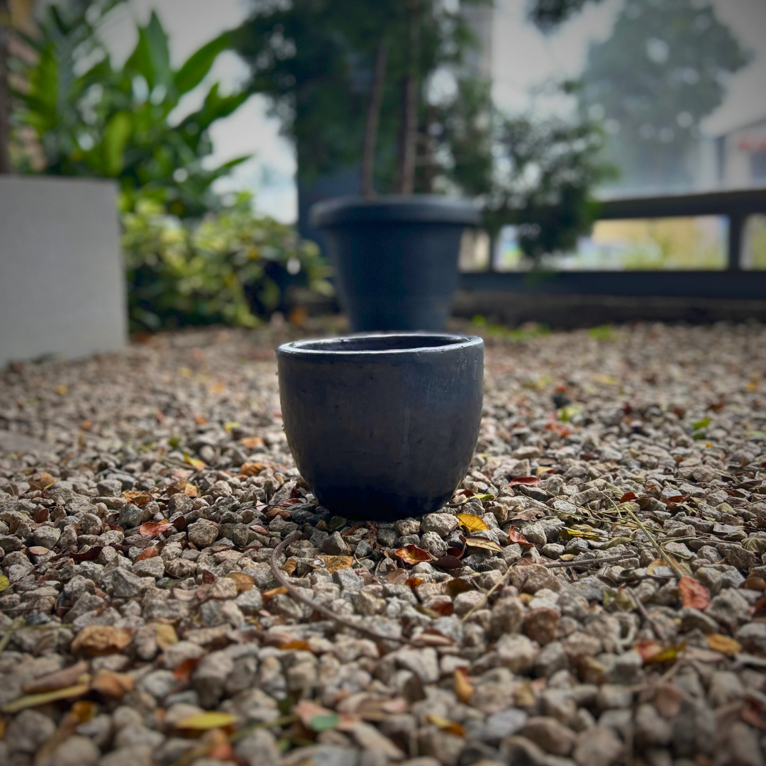 Planter 79
