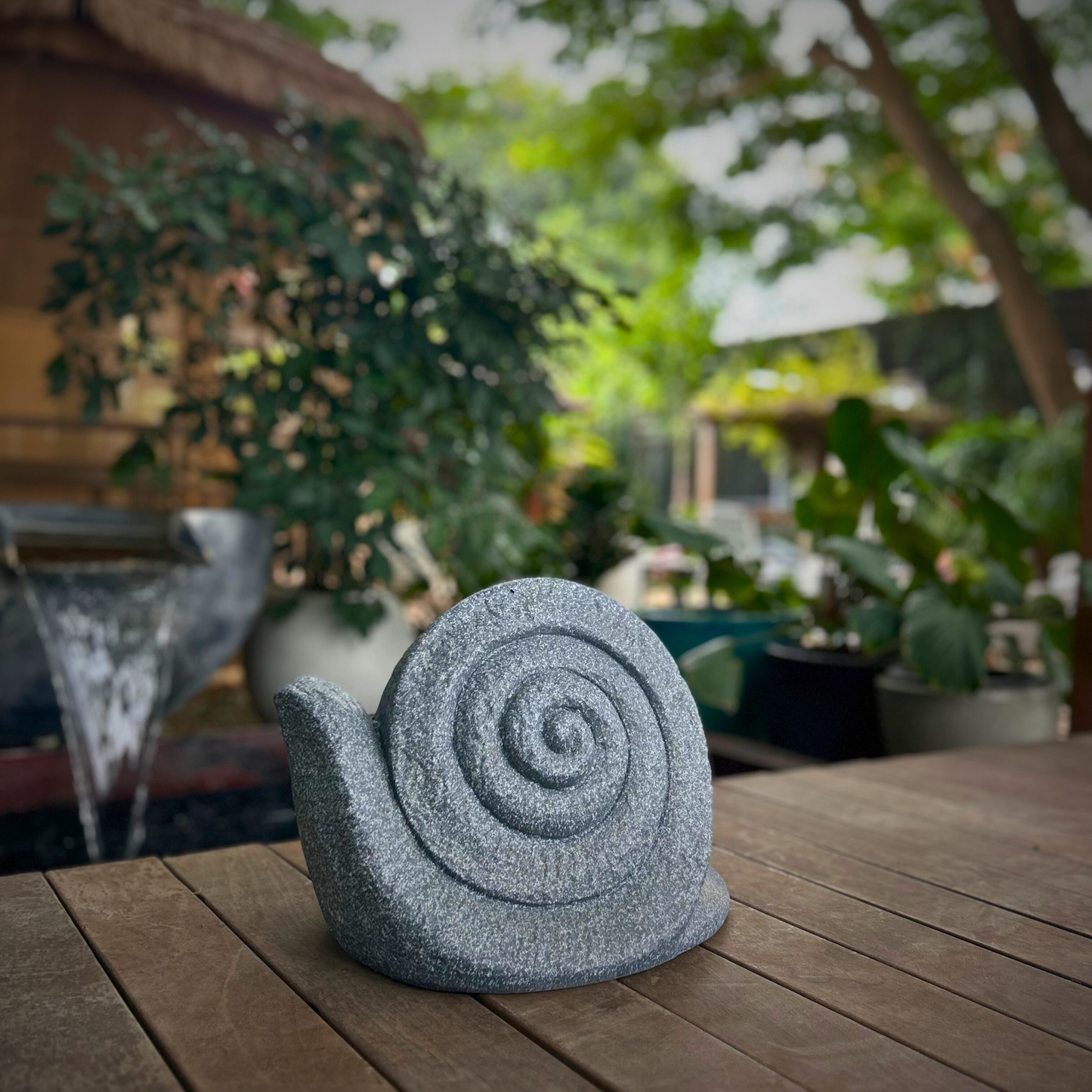 Snail Harmony