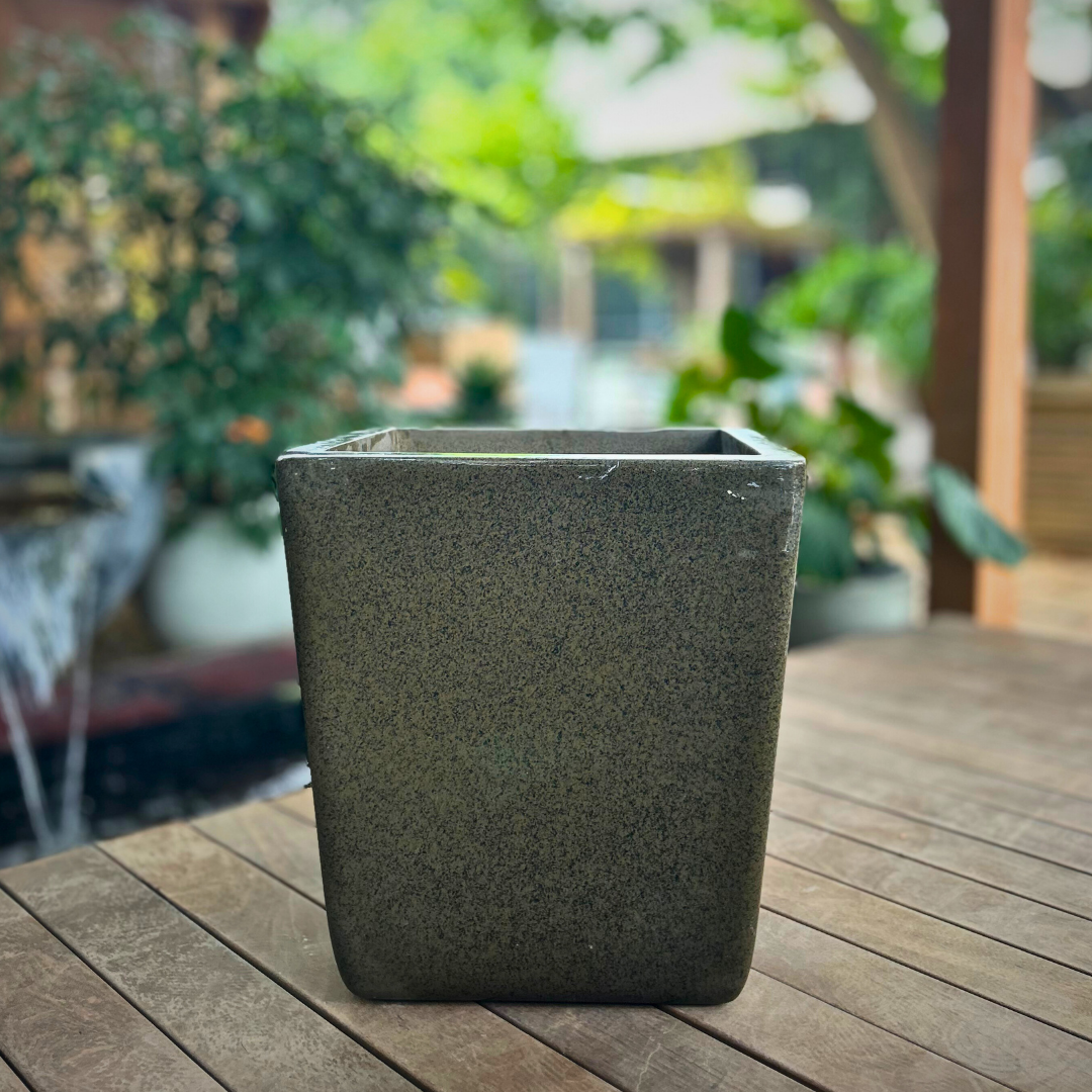 Planter 005