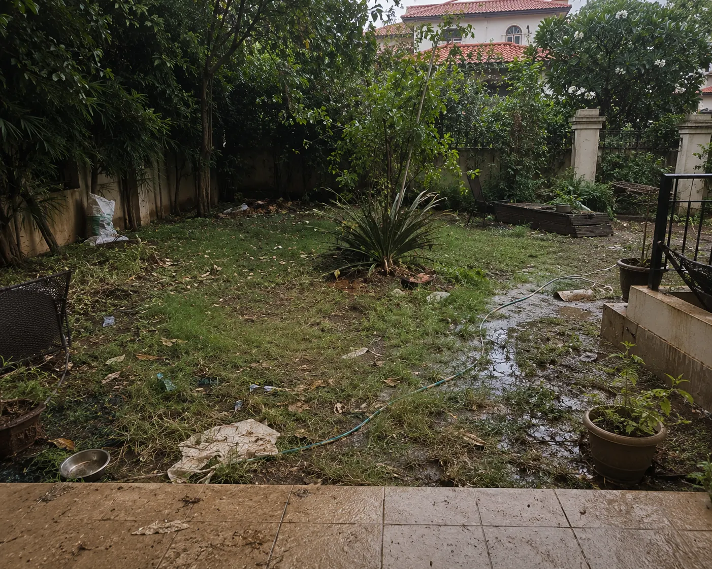 A villa garden, brought back to life — before