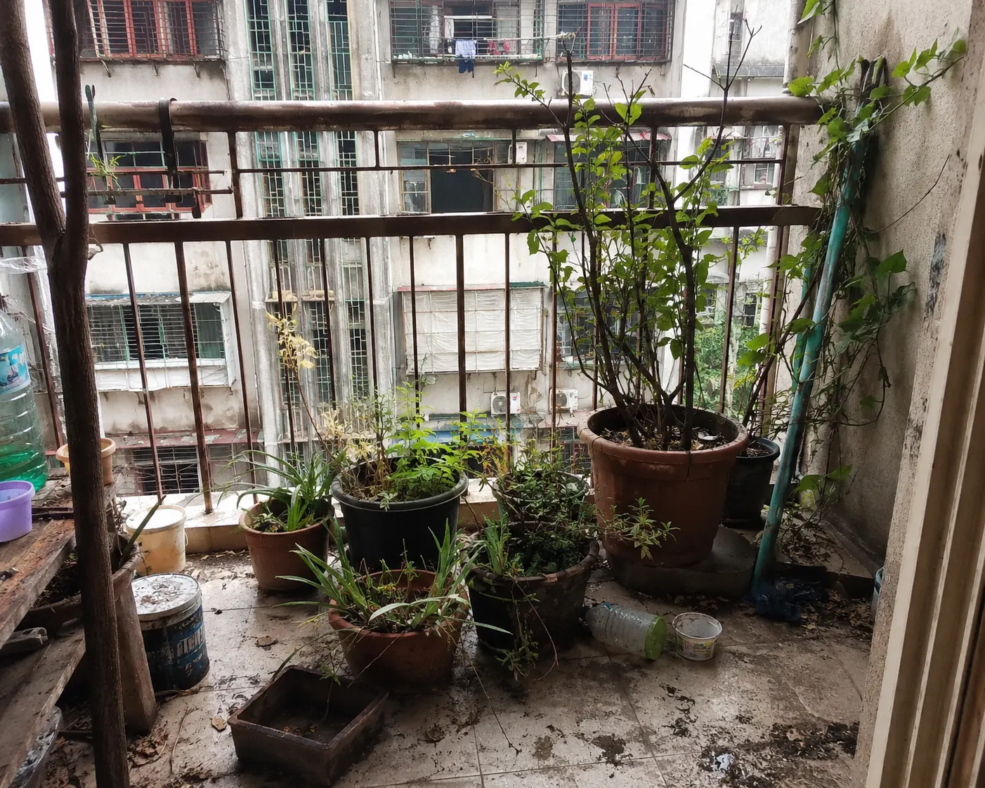 A Mumbai balcony, reimagined — before