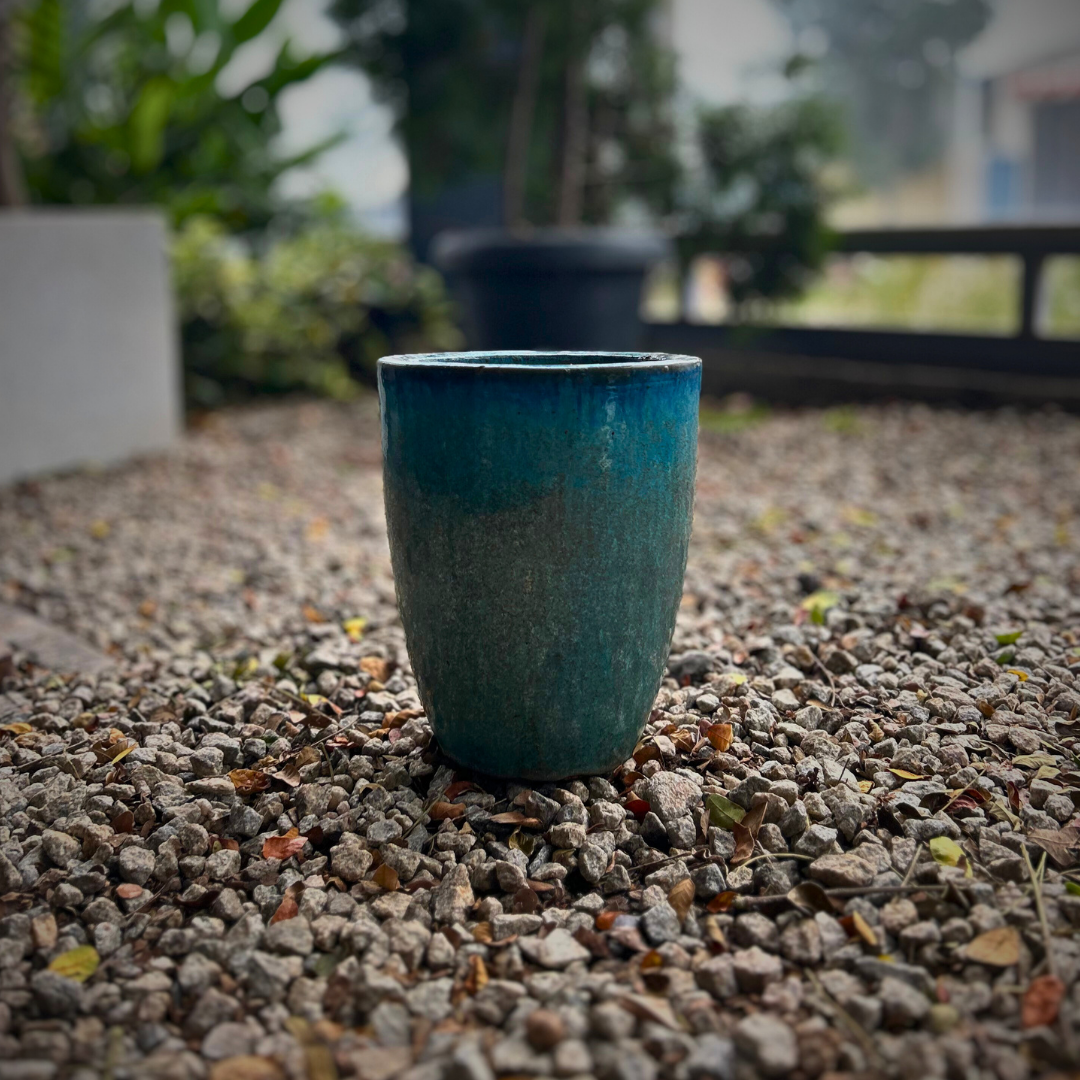 Planter 100