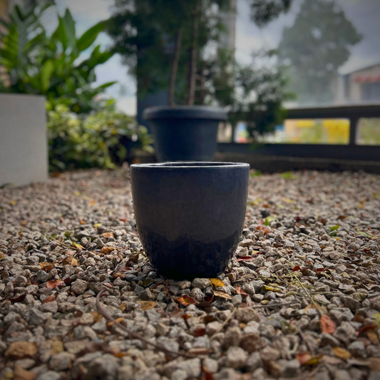 Planter 97