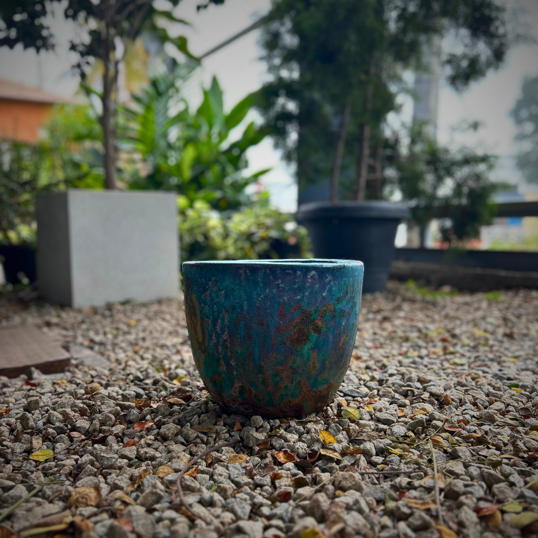 Planter 66